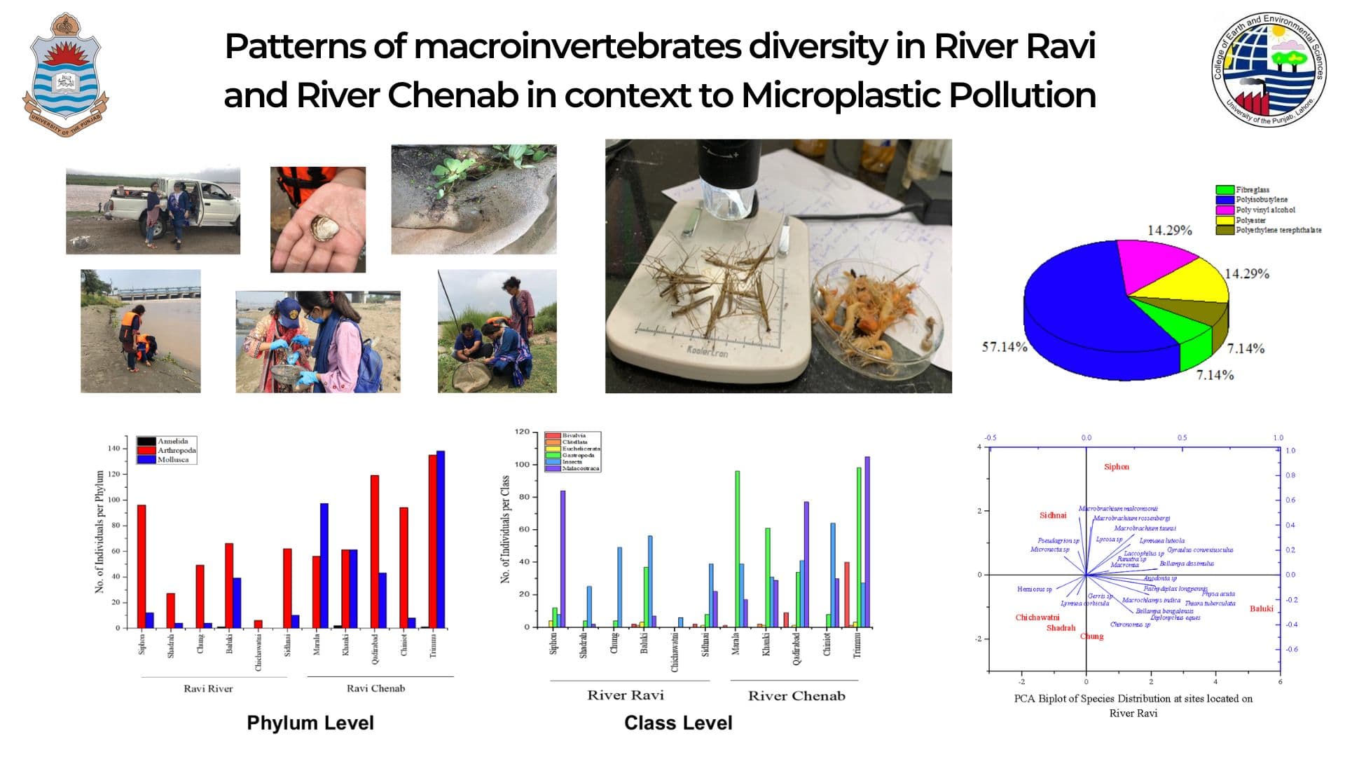 Patterns of macroinvertebrates diversity in River Ravi and River Chenab in context to Microplastics Pollution