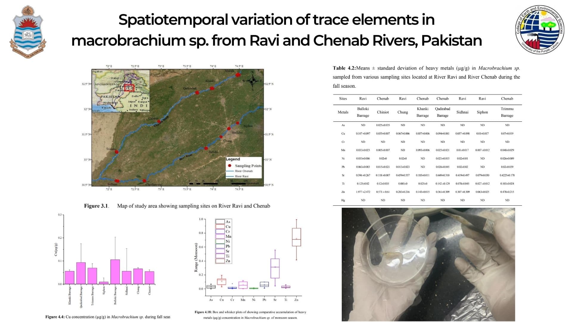 Spatiotemporal variation of trace elements in macrobrachium sp. from Ravi and Chenab Rivers, Pakistan